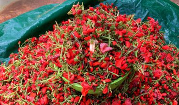 Flor de Bótil