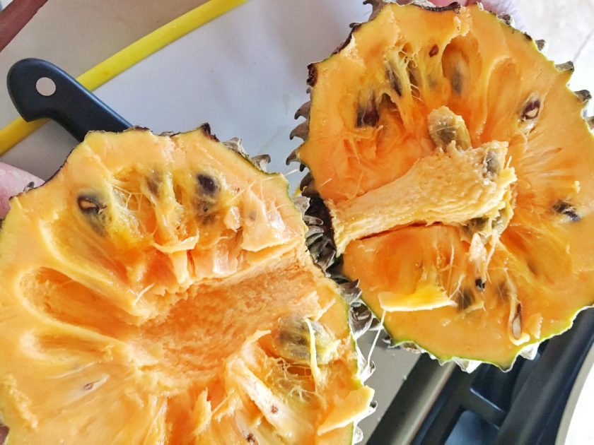 Chincuya Fruit