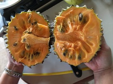 Chincuya Fruit